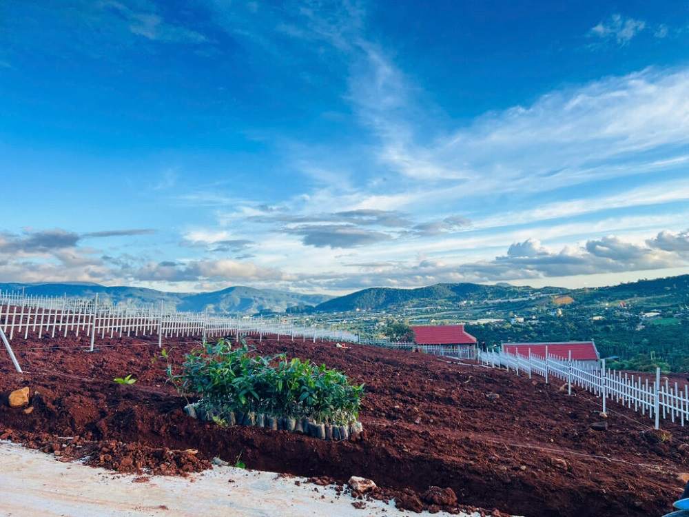 Nhiều loại hình mua bán đất Lâm Hà cho bạn lựa chọn